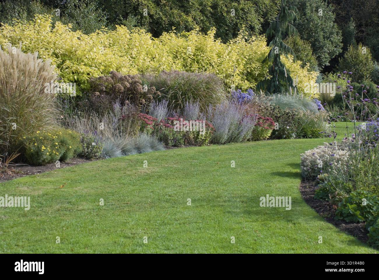 September Path September herbaceous border hi-res stock photography and images - Alamy