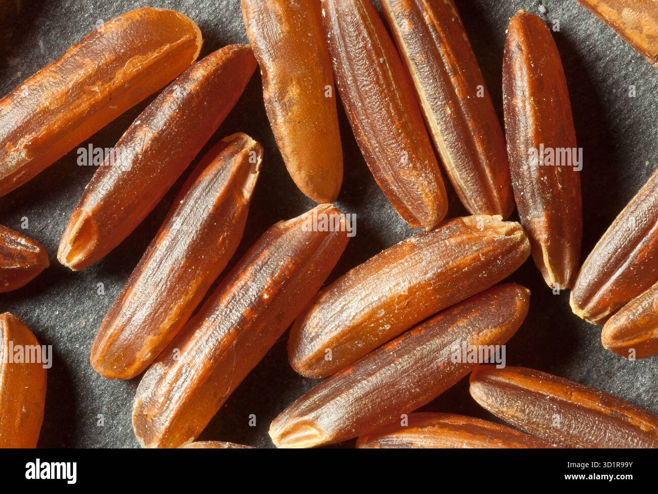 Extreme macro red rice hi-res stock photography and images - Alamy