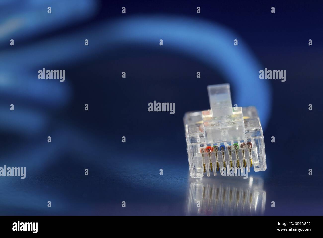 LAN Network Ethernet Cable isolated on a blue background Stock Photo