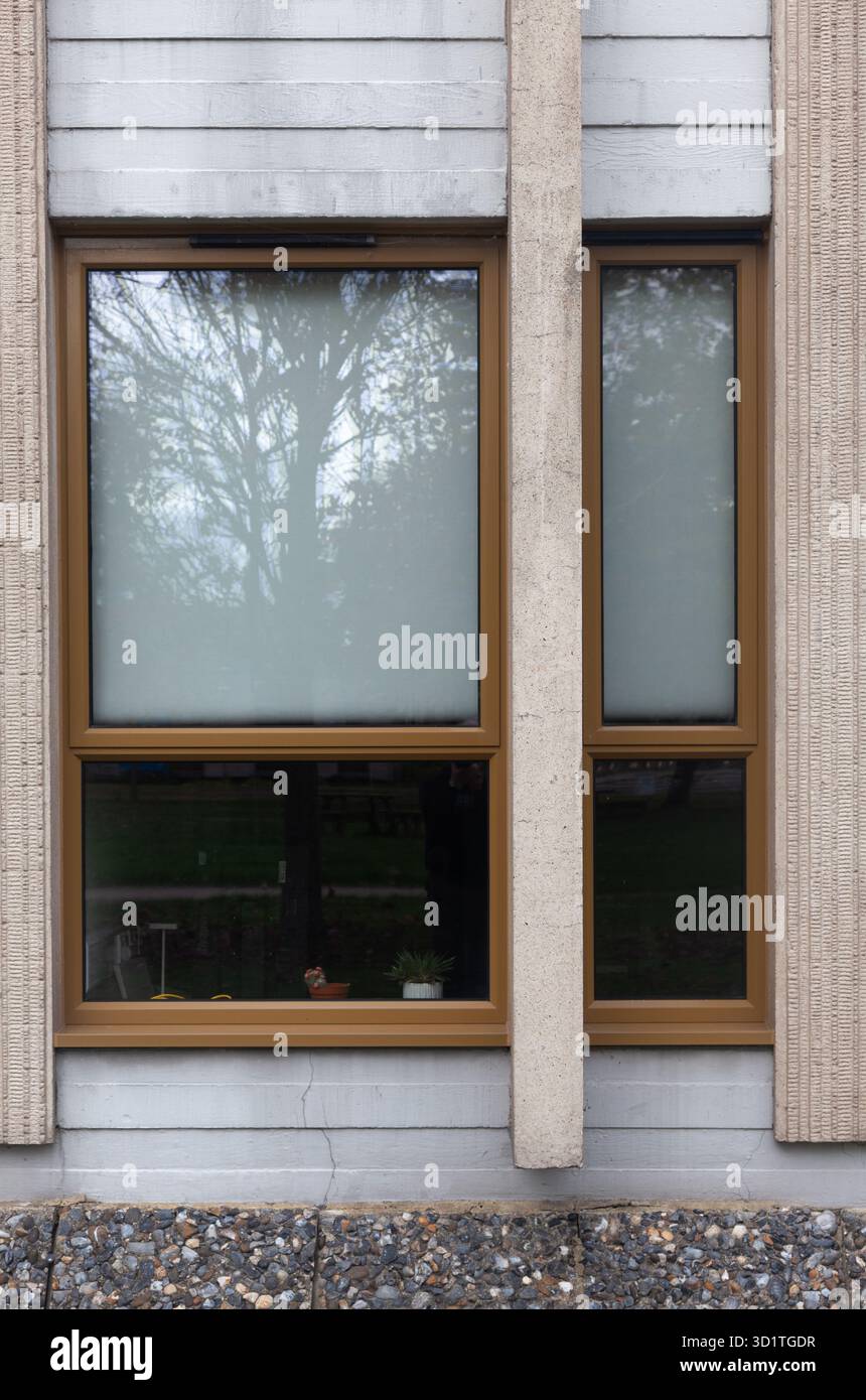 Windows in modern building. Stock Photo