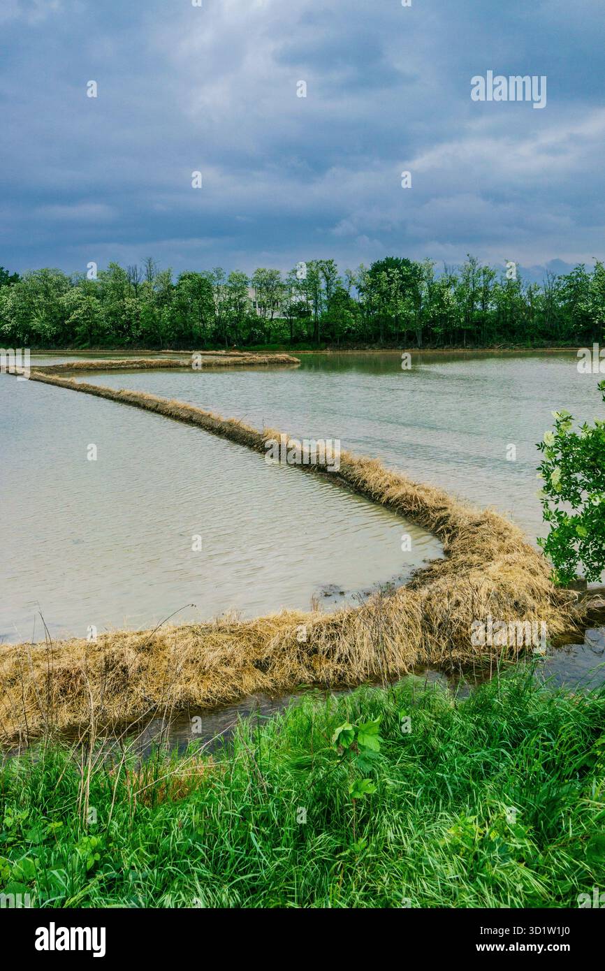 Flooded rice fields hi-res stock photography and images - Alamy