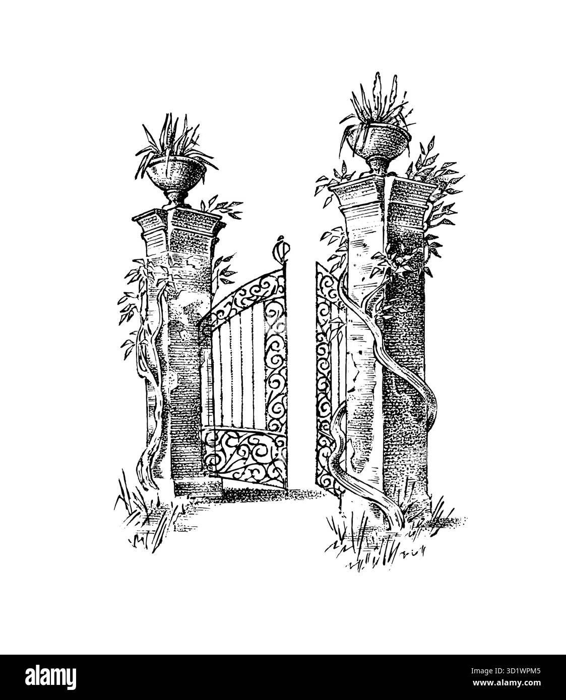 Old doors object Stock Vector Images Alamy