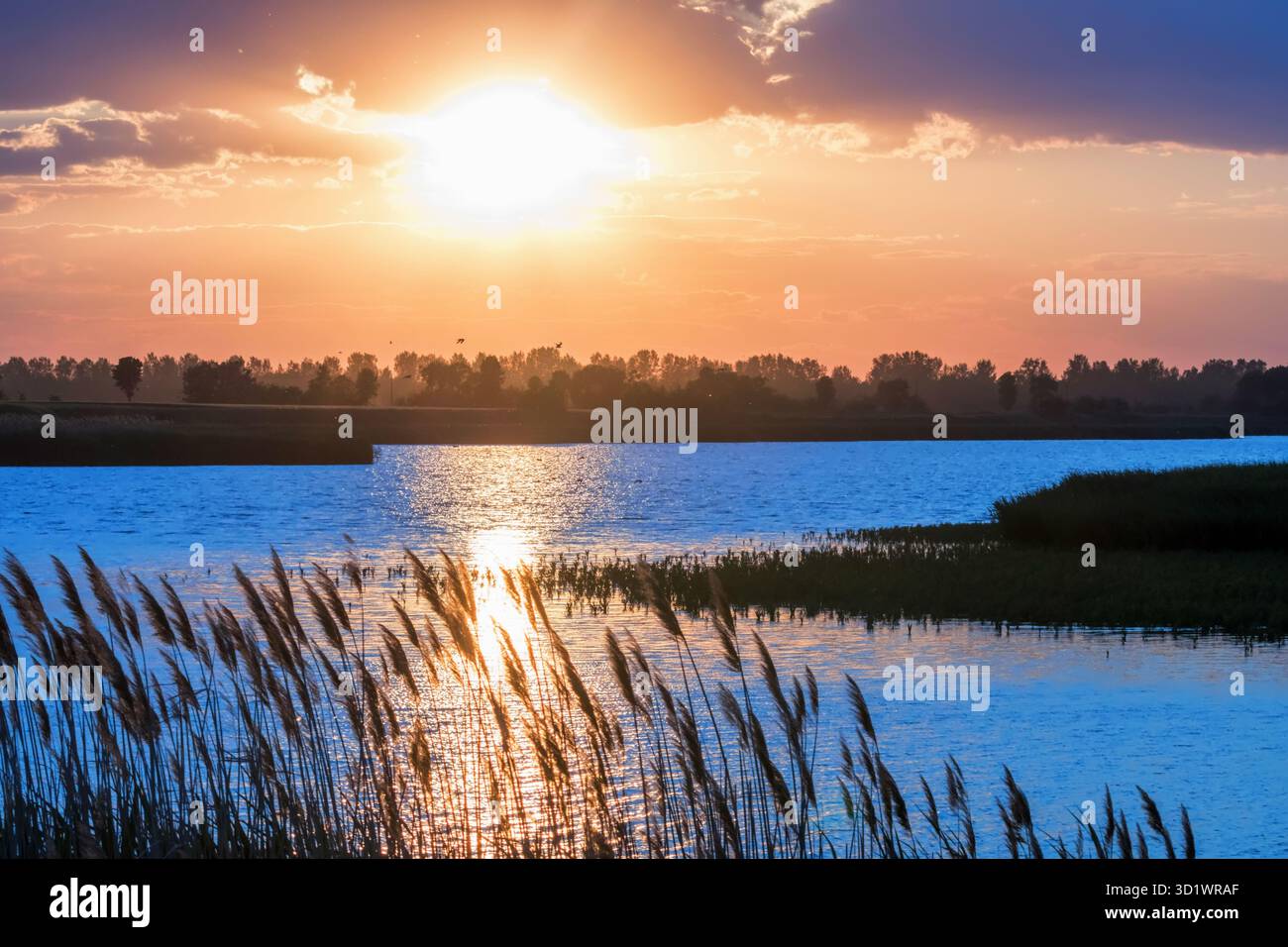 Sunset Scene over Lake, Water Surface Sunset Stock Photo