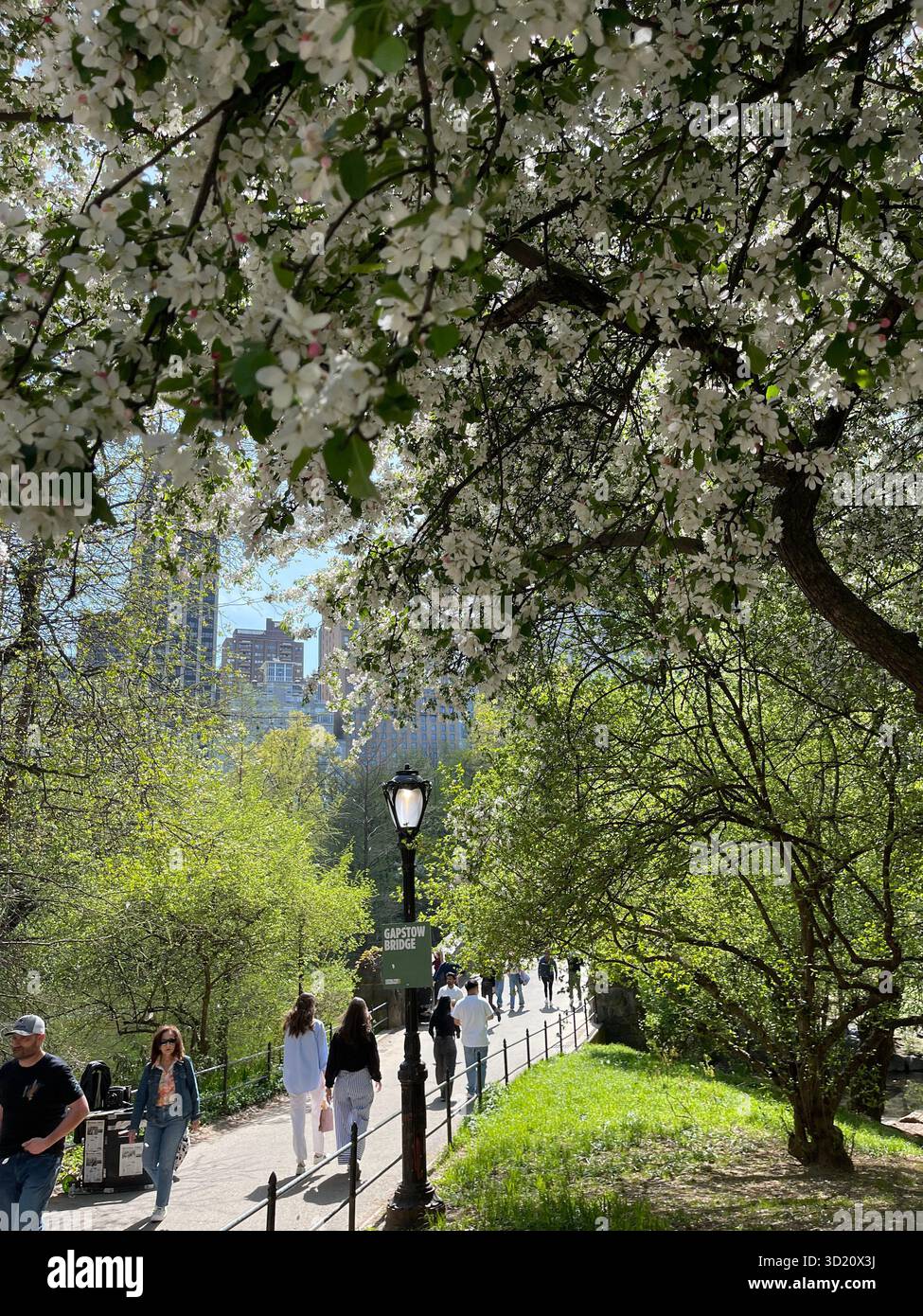 Gapstow Bridge, Central Park NYC — timeless stone arch reflected beautifully through the four seasons. - Smartphone Captured Stock Image