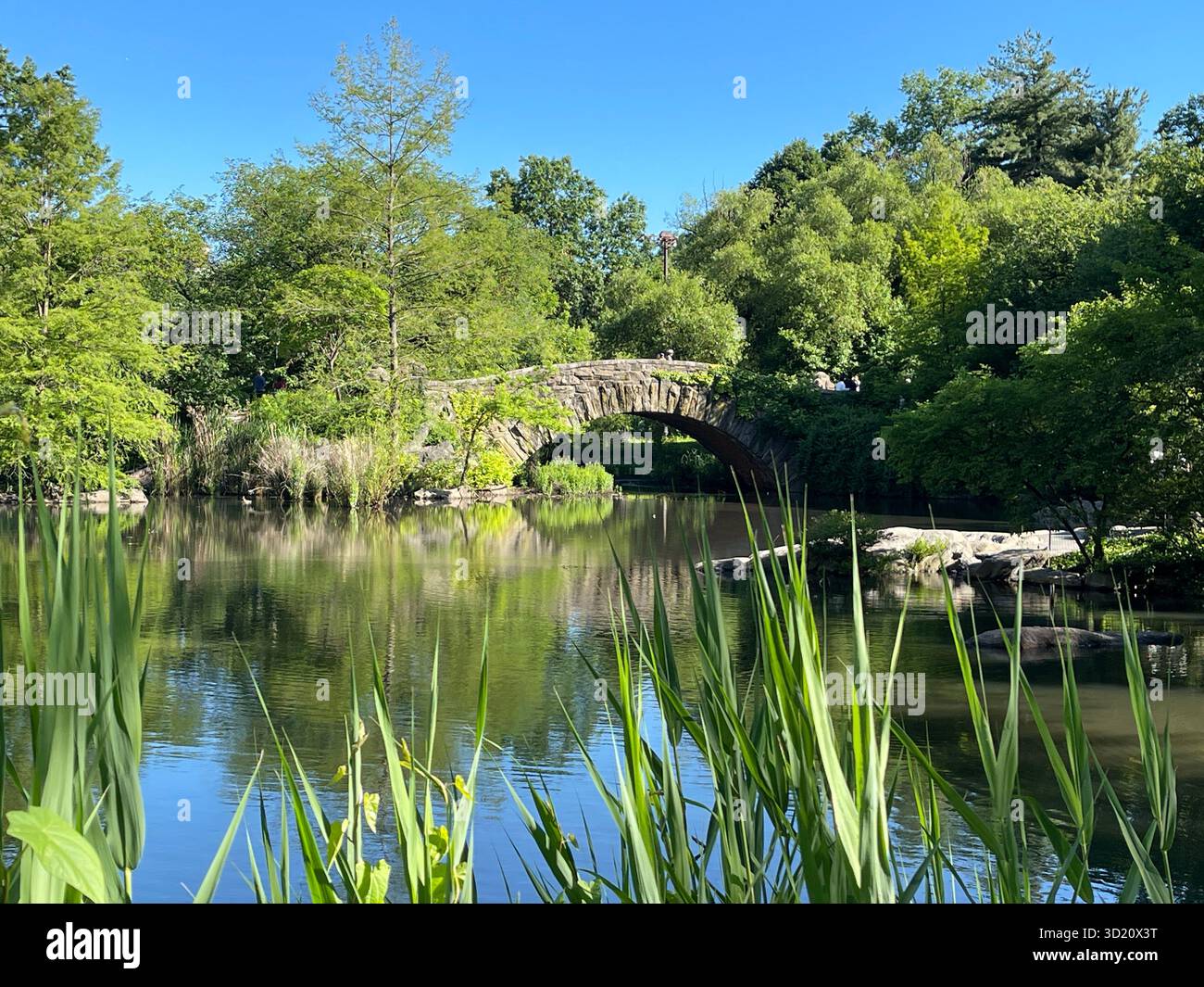 Gapstow Bridge, Central Park NYC — timeless stone arch reflected beautifully through the four seasons. - Smartphone Captured Stock Image
