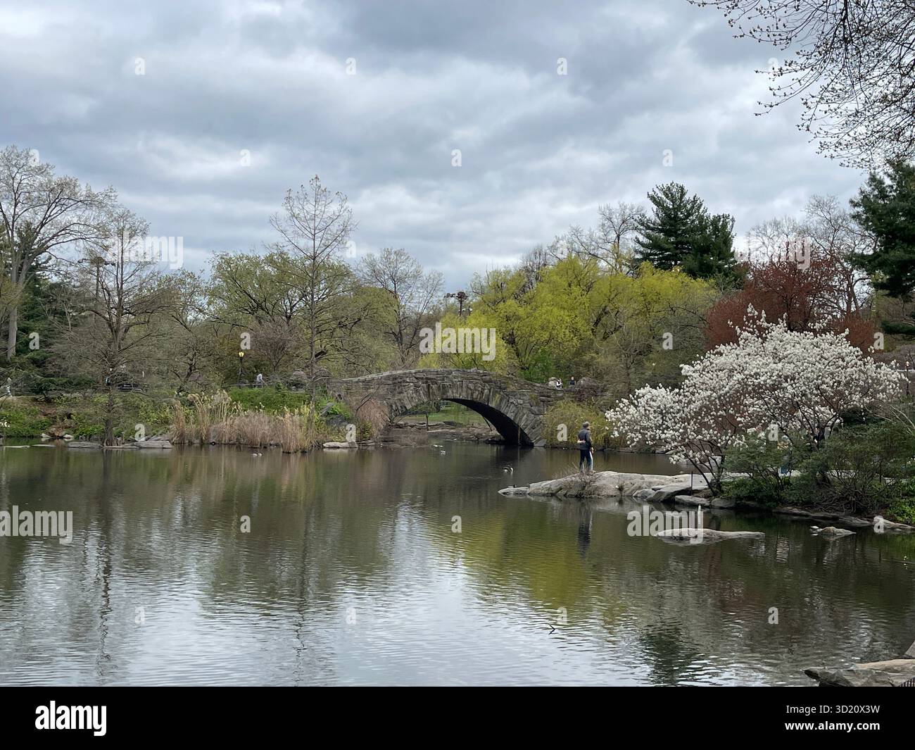 Gapstow Bridge, Central Park NYC — timeless stone arch reflected beautifully through the four seasons. - Smartphone Captured Stock Image