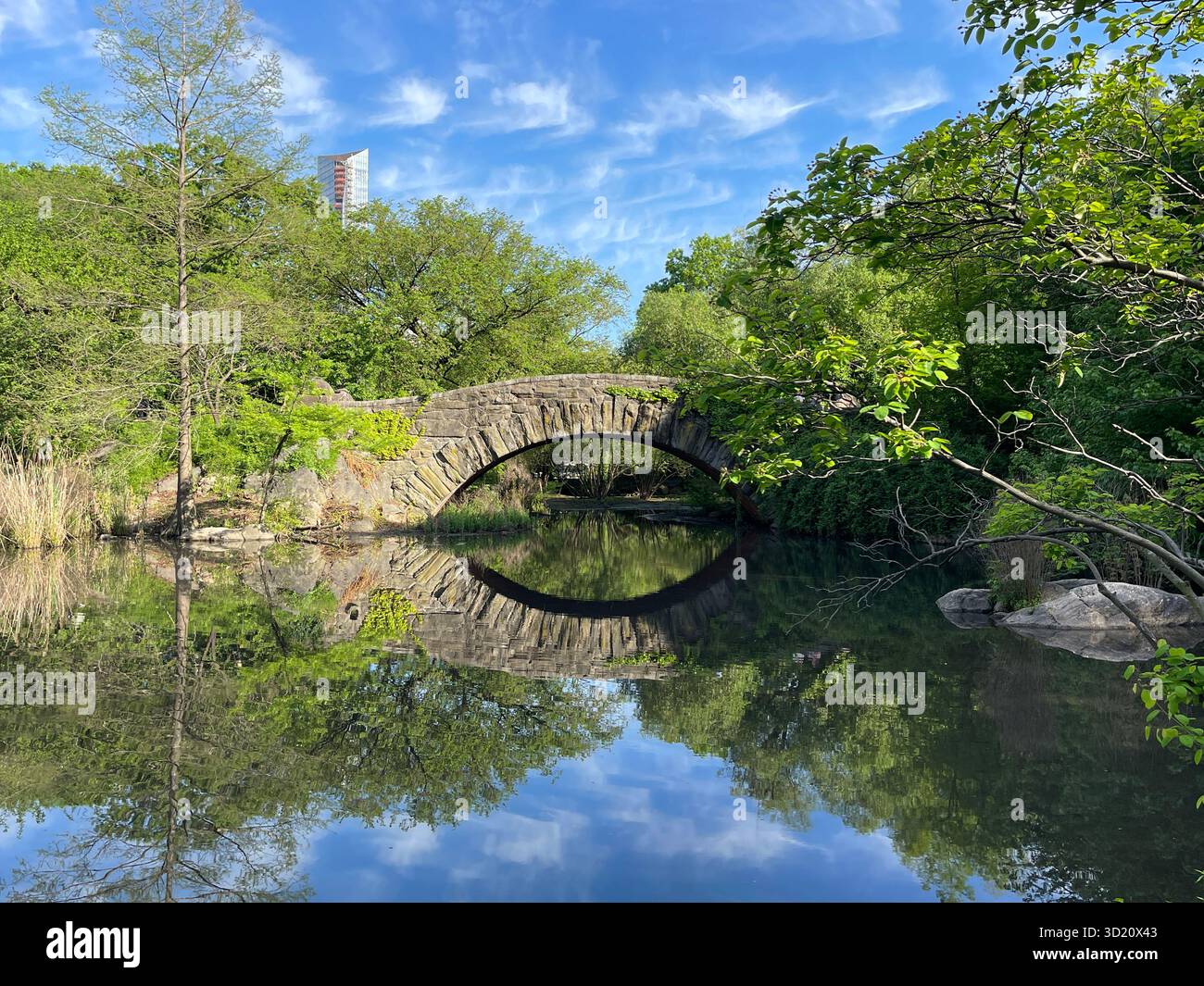 Gapstow Bridge, Central Park NYC — timeless stone arch reflected beautifully through the four seasons. - Smartphone Captured Stock Image