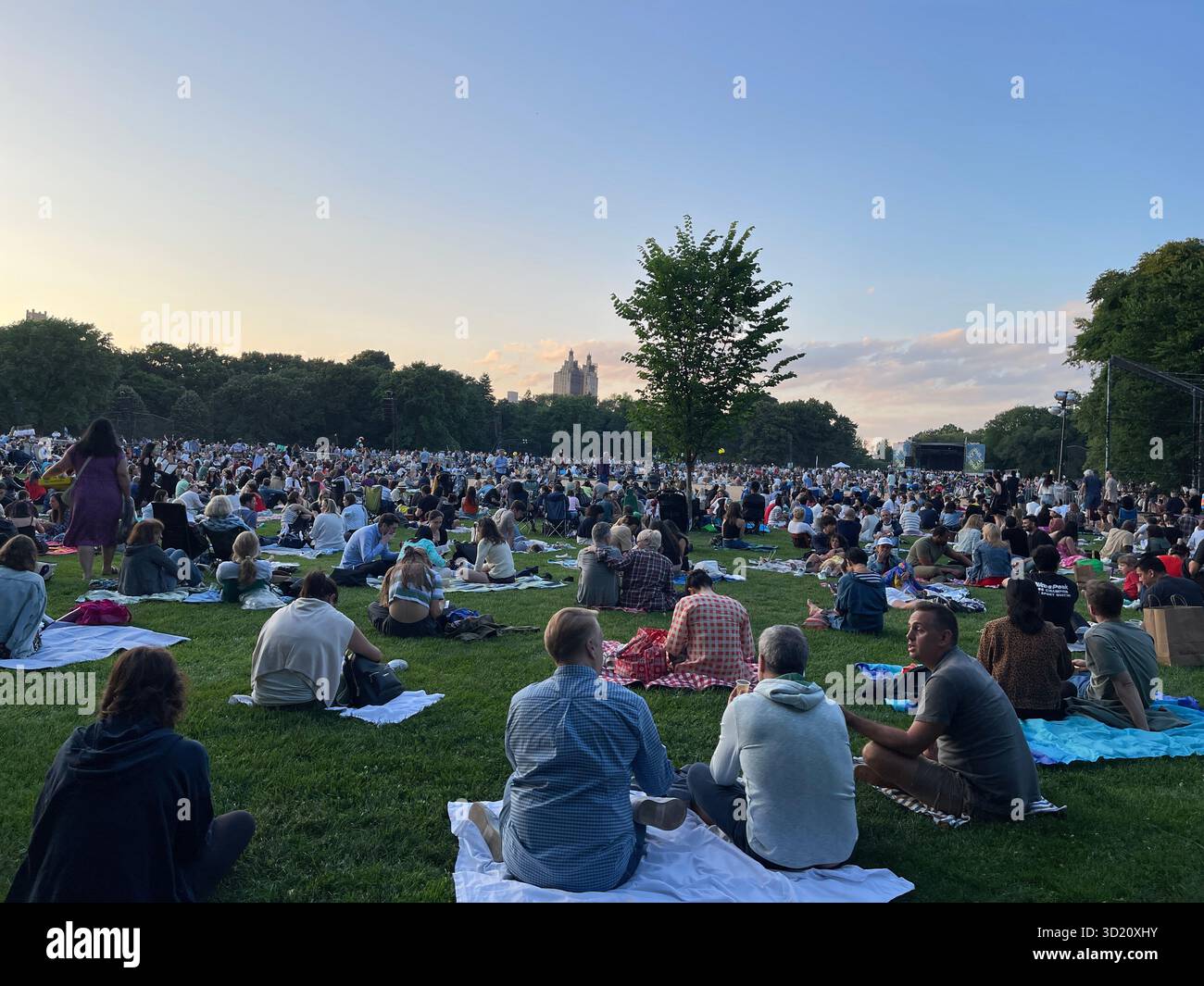 Crowds gather under the sun for a festive summer concert on the Great Lawn - Smartphone Captured Stock Image
