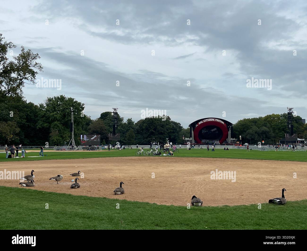 Feathered friends enjoy the expansive greenery of the Great Lawn in Central Park - Smartphone Captured Stock Image