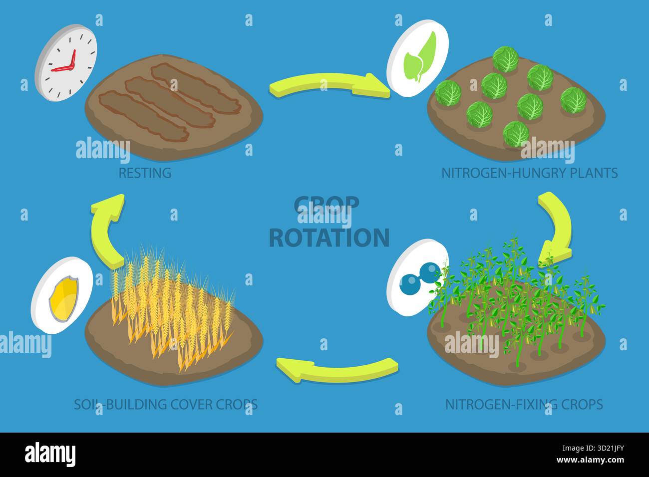 Crop rotation illustration hi-res stock photography and images - Alamy