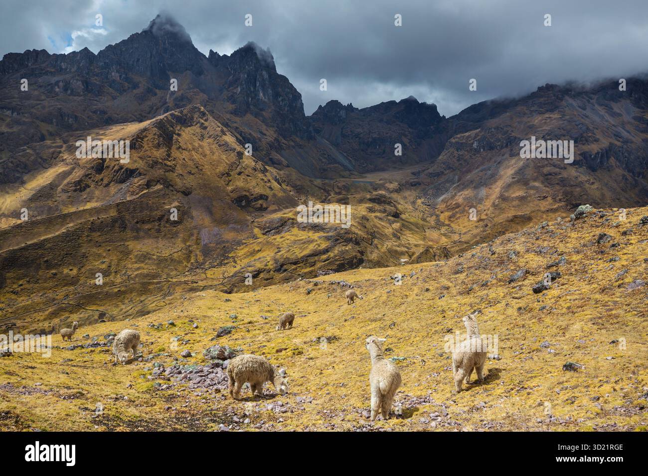 Andes mountains peru hi-res stock photography and images - Alamy