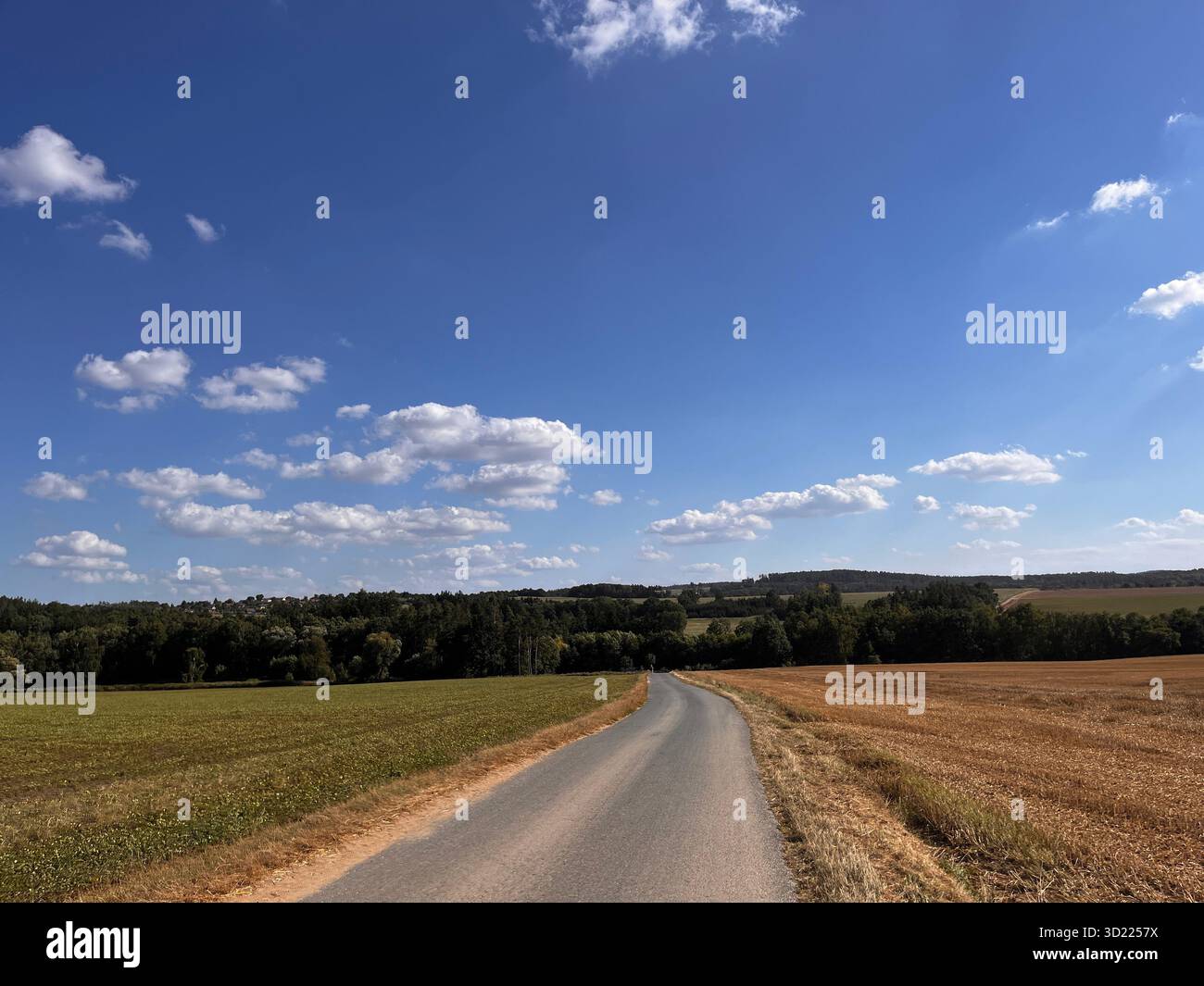 Green field under a blue sky with white clouds, peaceful rural landscape showing the beauty of nature and summer countryside. - Smartphone Captured Stock Image