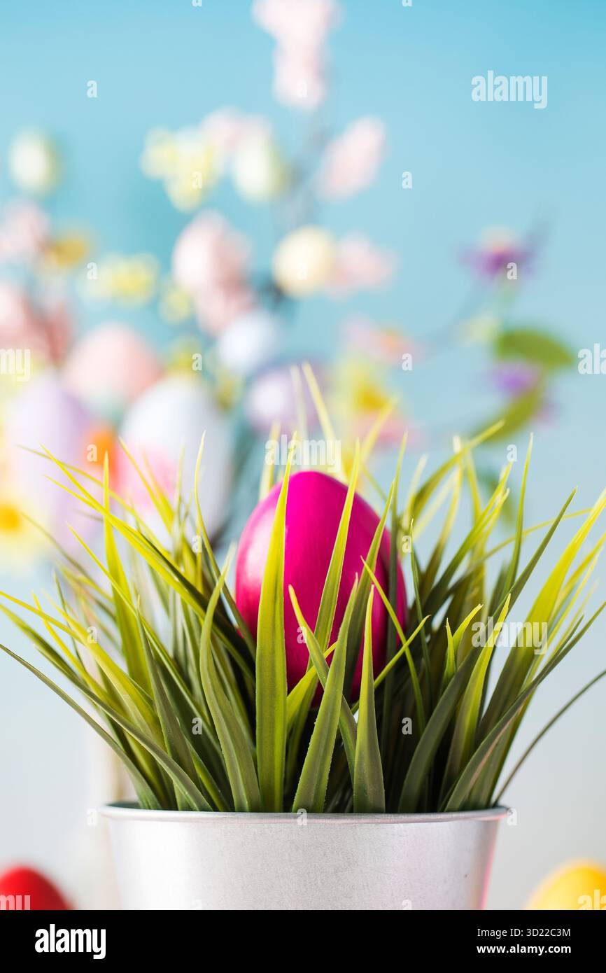 The Easter egg is hidden in the green grass on a blue background. Easter concept. Stock Photo