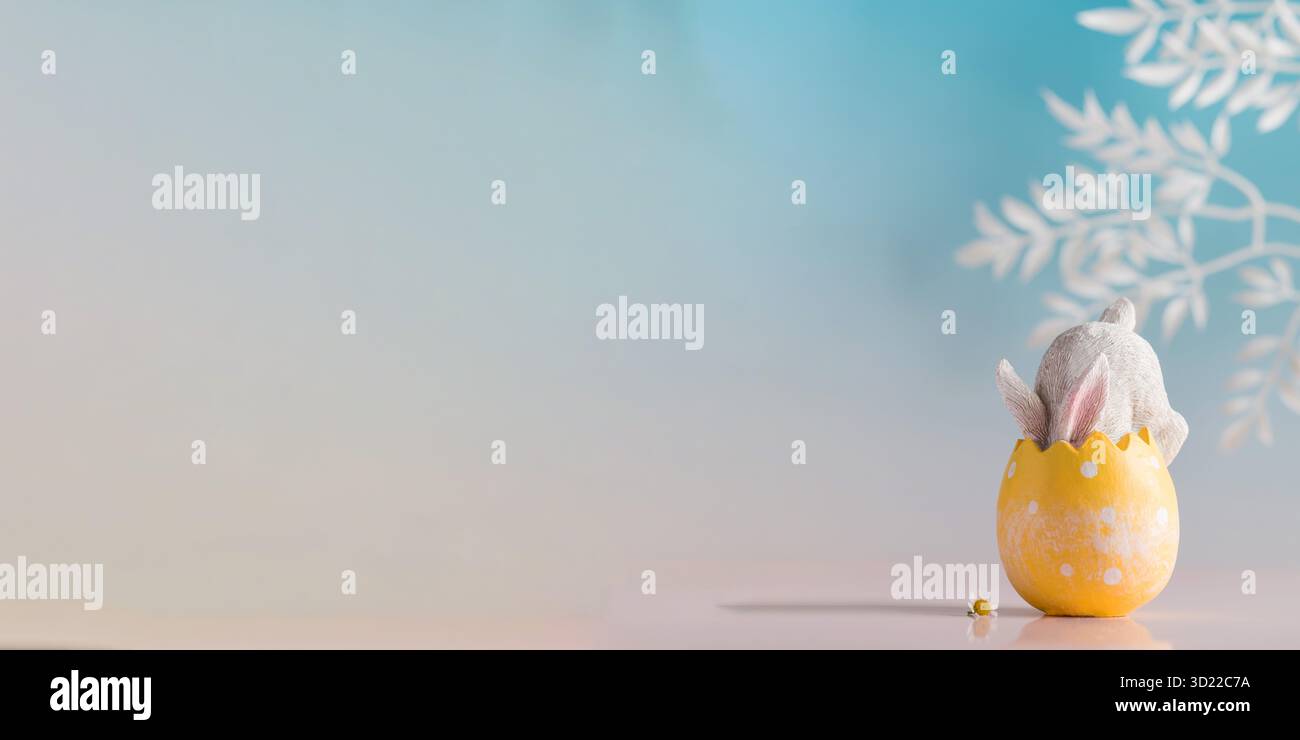 Banner a white rabbit hid in an Easter egg on a blue background. Festive Easter card. Copy space. Stock Photo