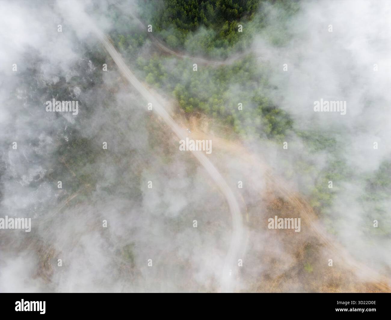 Winding forest road cutting hi-res stock photography and images - Alamy