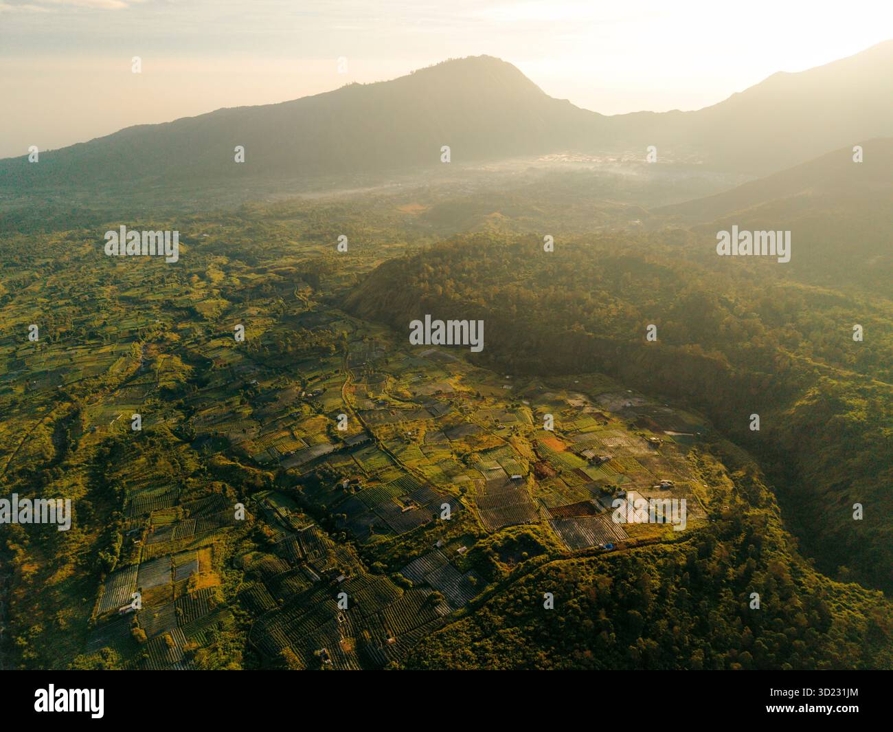 Aerial view of lush green fields with a mountain range in the ...