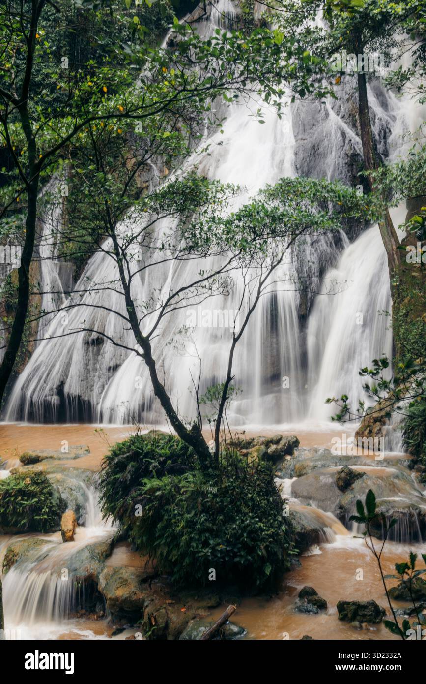 A cascading waterfall flows through lush green forest trees and rocks ...