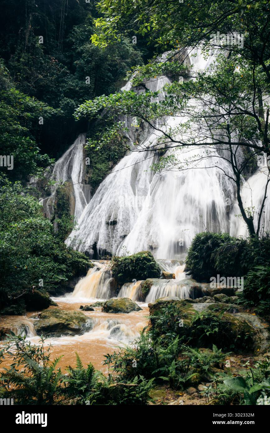 Lush green forest waterfall cascading over rocks into a tranquil stream ...