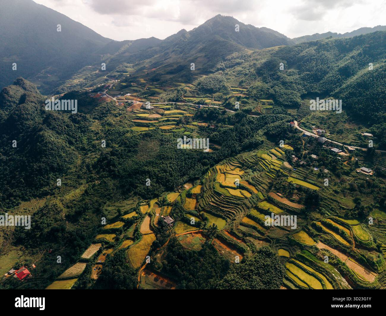 Aerial view of terraced rice fields and lush green mountains in a rural ...