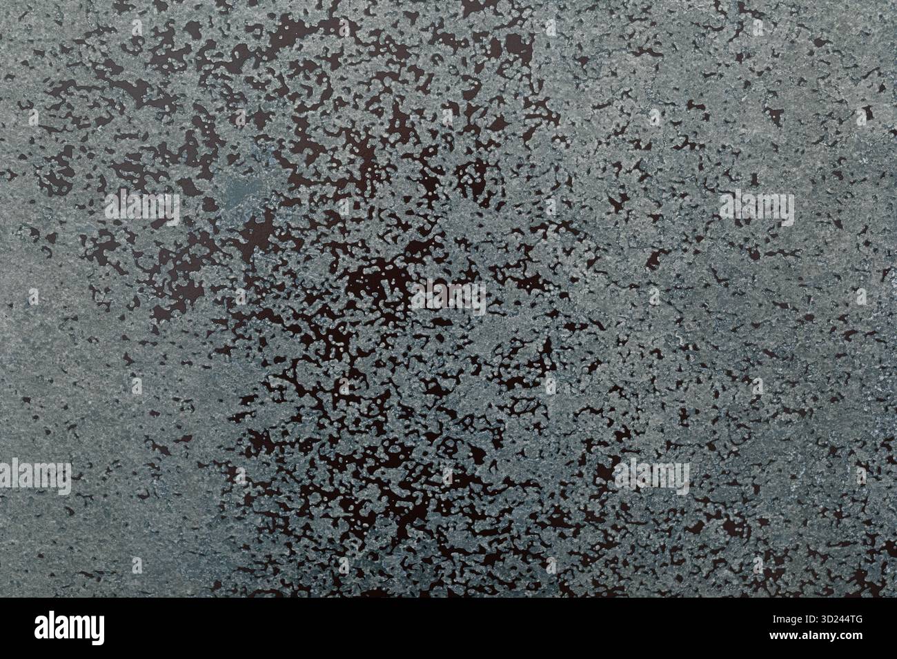 Abstract textured background created with gray particles on a dark surface showcasing nature's patterns Stock Photo