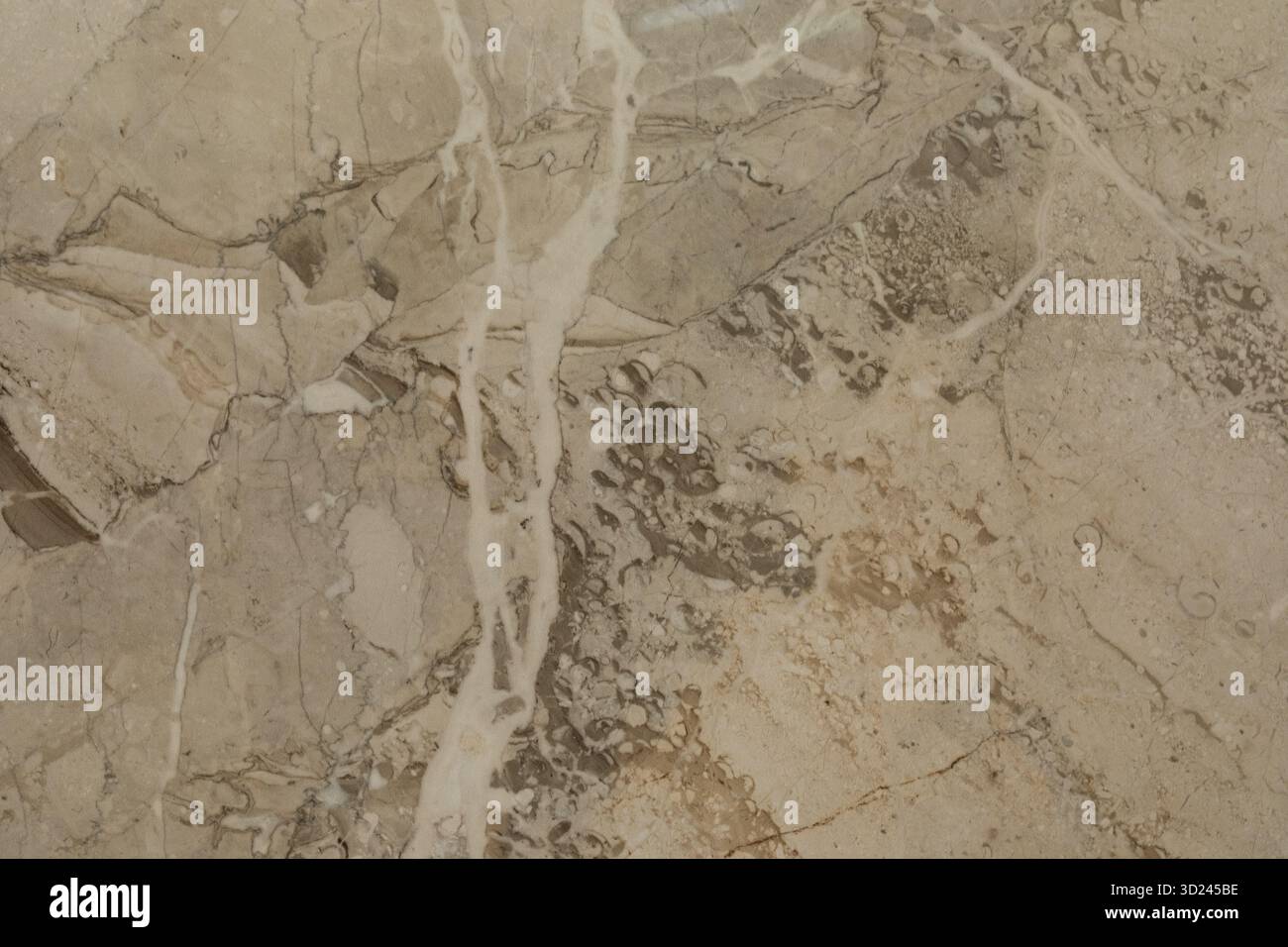 Beautiful natural stone texture showcasing intricate patterns and ...