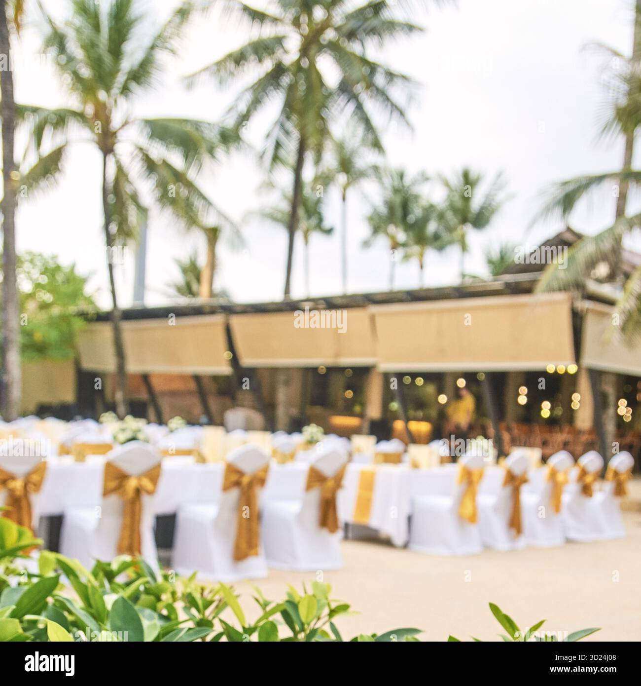 Elegant outdoor beach wedding venue with chair decor and palm trees Stock Photo
