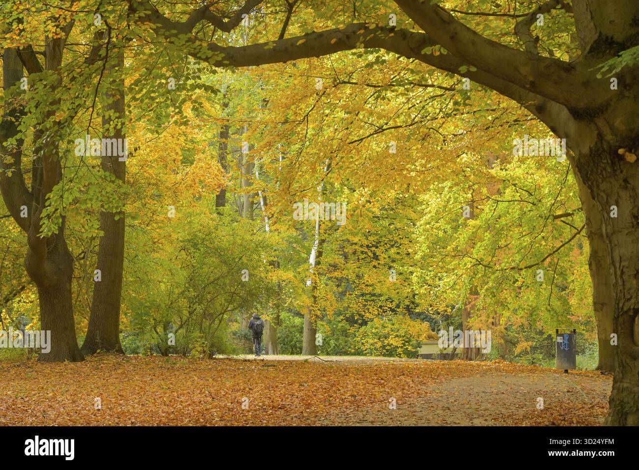 autumn-in-grosser-tiergarten-park-mitte-berlin-germany-stock-photo