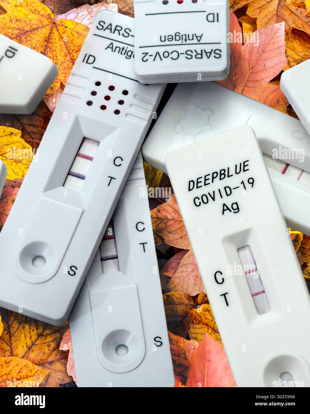 Positive coronatest hi-res stock photography and images - Alamy