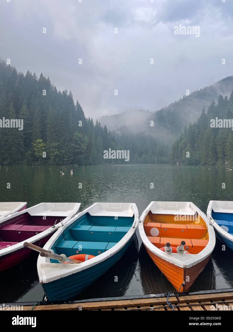 Misty forest by a mountain lake on a rainy day. Colorful boats, scenic landscape with fog, trees and calm water reflecting the moody weather. - Smartphone Captured Stock Image