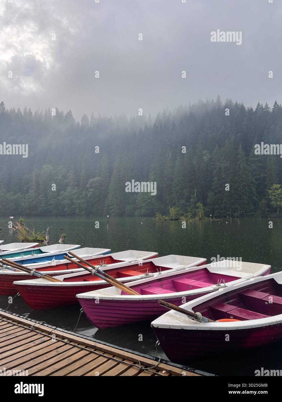 Misty forest by a mountain lake on a rainy day. Colorful boats, scenic landscape with fog, trees and calm water reflecting the moody weather. - Smartphone Captured Stock Image