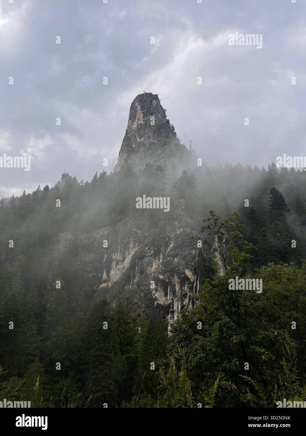 Misty forest by a mountain lake on a rainy day. Scenic landscape with fog, trees and calm water reflecting the moody weather - Smartphone Captured Stock Image
