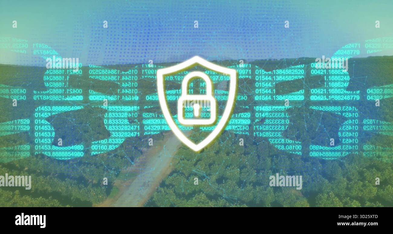 Hovering shield-shaped badge projecting digital code overlay above dense forest canopy, security Stock Photo
