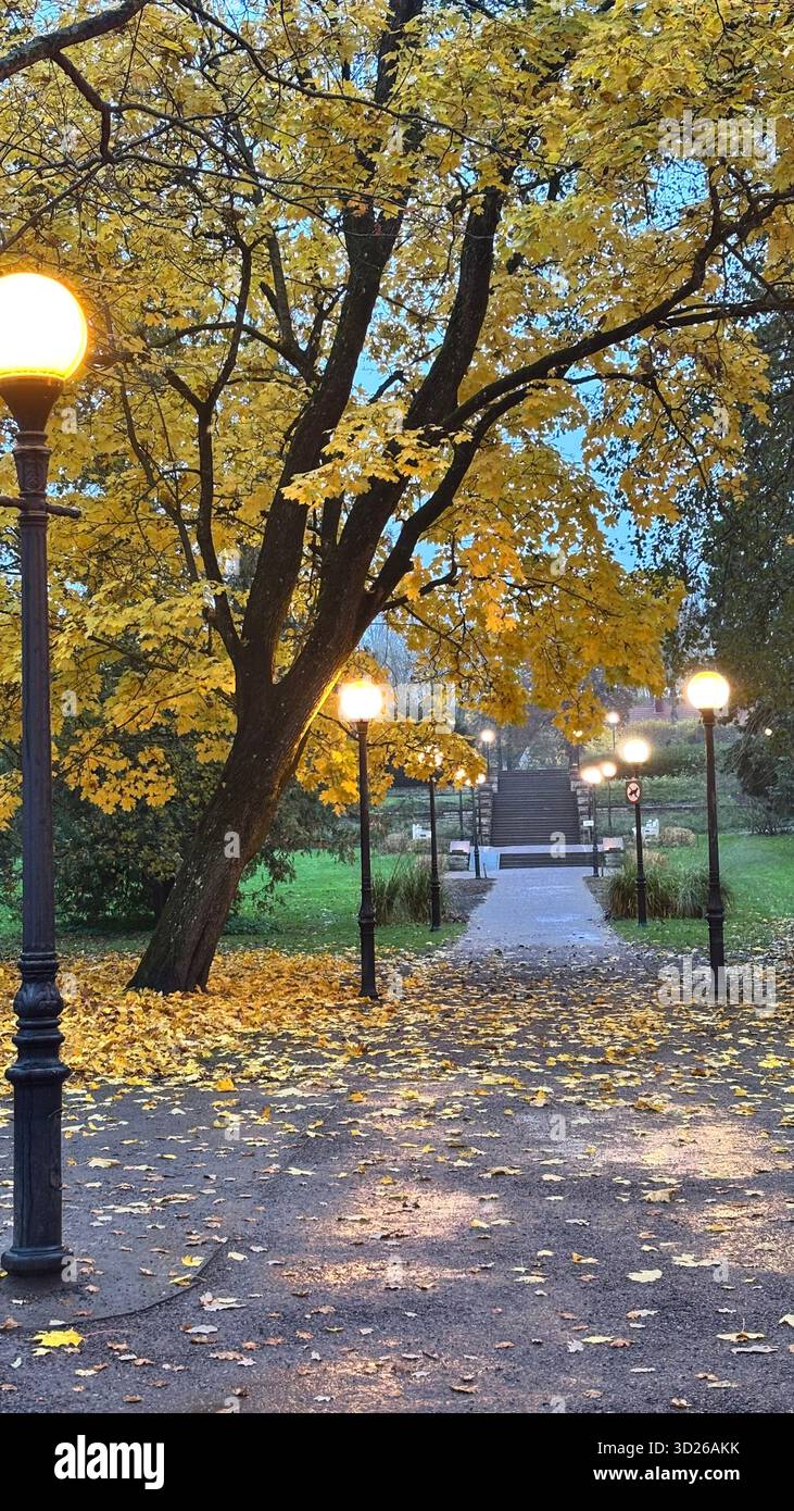 City Park - Smartphone Captured Stock Image
