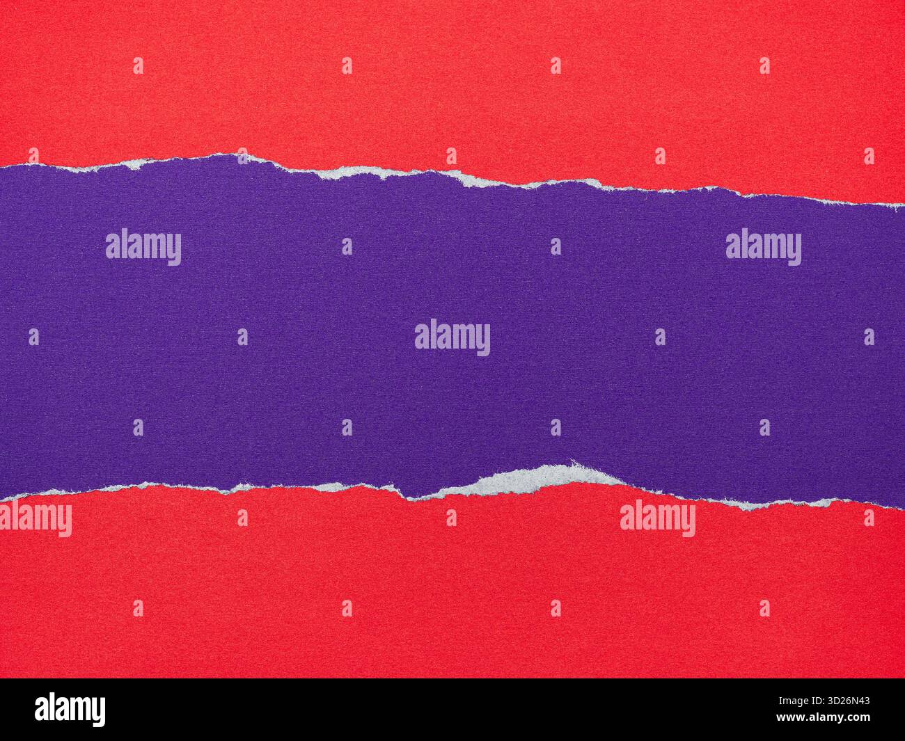 Strip of torn purple paper on red background, Copy space. Stock Photo