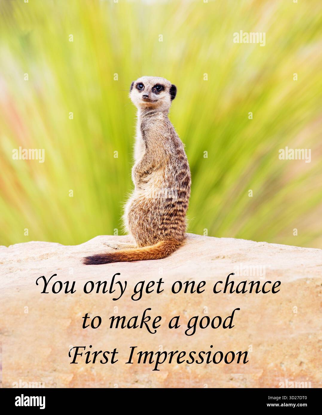 Motivate motivation emotion hi-res stock photography and images - Alamy, image size:1077x1390