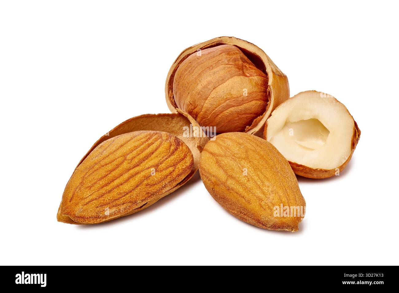 Highquality studio photograph illustrating roasted almonds in shells with visible texture and creamy core for packaging Stock Photo