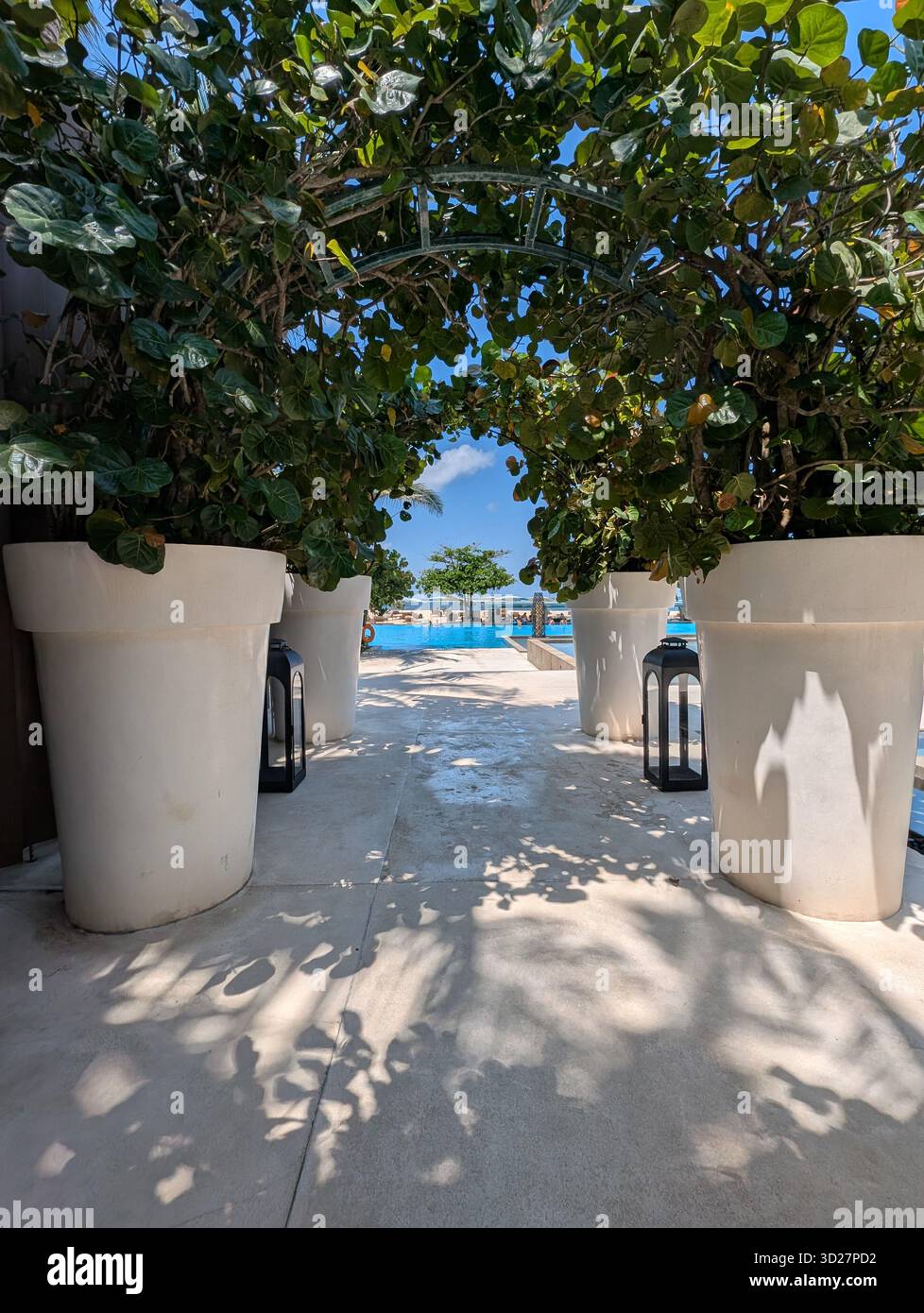 Entrance to heaven - Smartphone Captured Stock Image