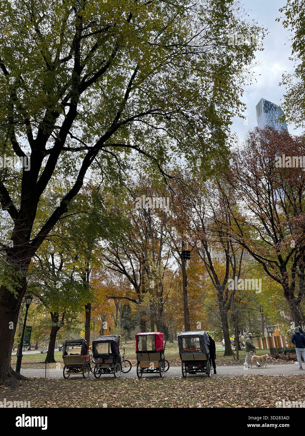 Autumn trees in Central Park, NYC — a symphony of colors painting nature’s masterpiece in the heart of the city. - Smartphone Captured Stock Image