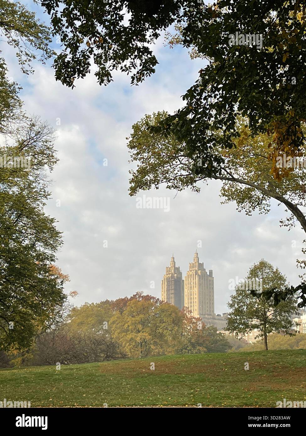 Autumn trees in Central Park, NYC — a symphony of colors painting nature’s masterpiece in the heart of the city. - Smartphone Captured Stock Image