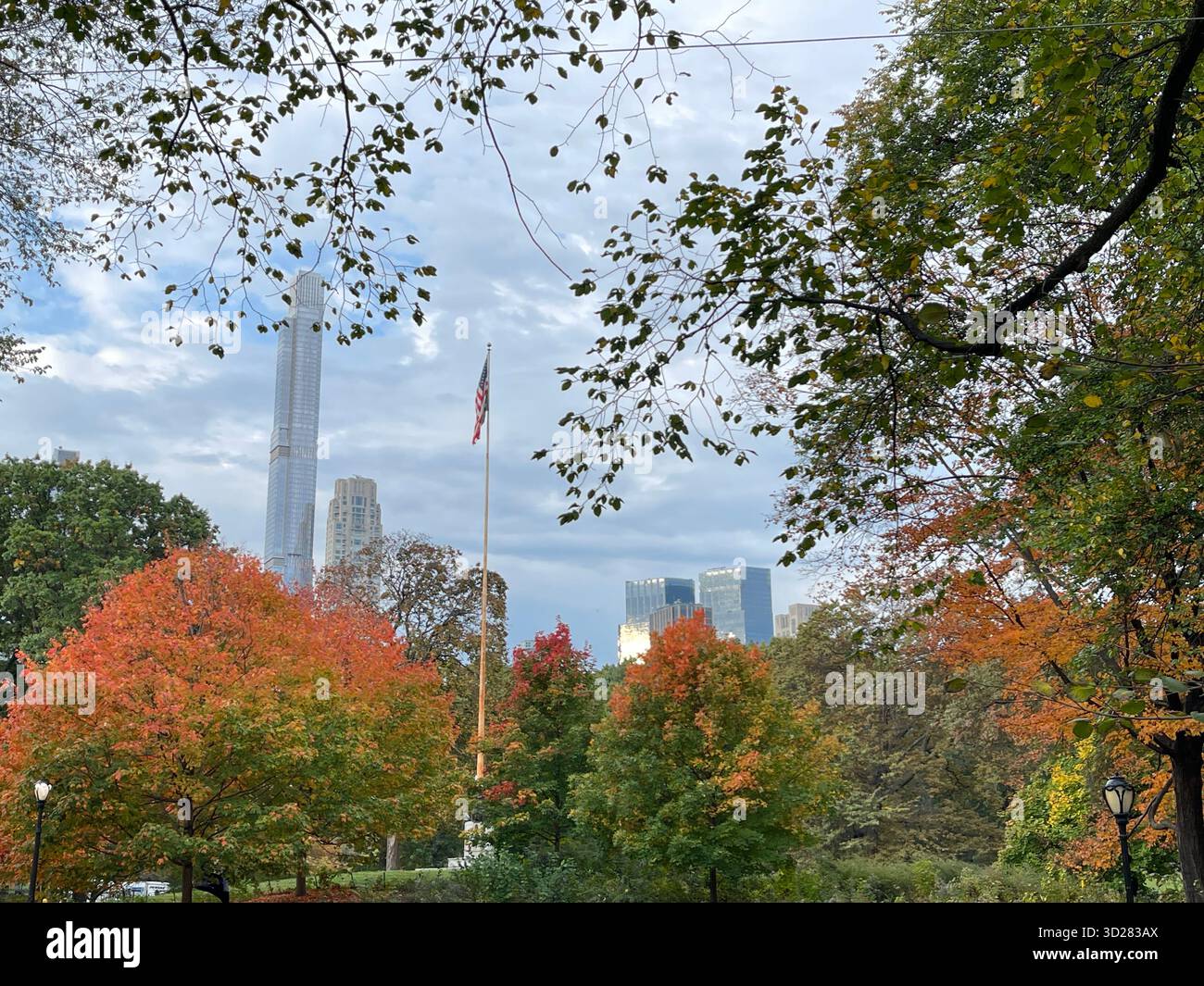 Autumn trees in Central Park, NYC — a symphony of colors painting nature’s masterpiece in the heart of the city. - Smartphone Captured Stock Image