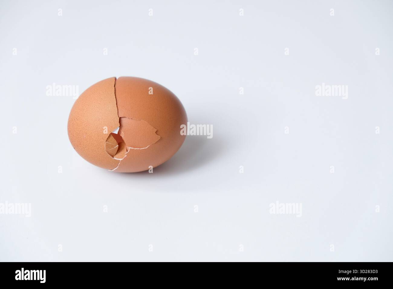 Broken egg shell isolated on white background Stock Photo