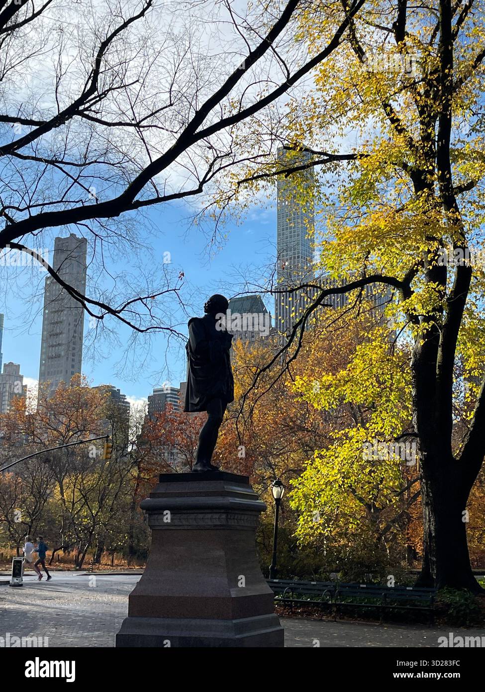 The Mall, Central Park NYC — a majestic promenade lined with trees, glowing with beauty through the changing seasons. - Smartphone Captured Stock Image