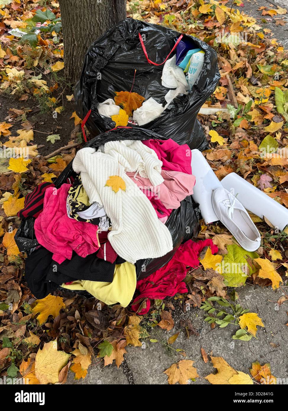 Discarded clothing on sidewalk - Smartphone Captured Stock Image
