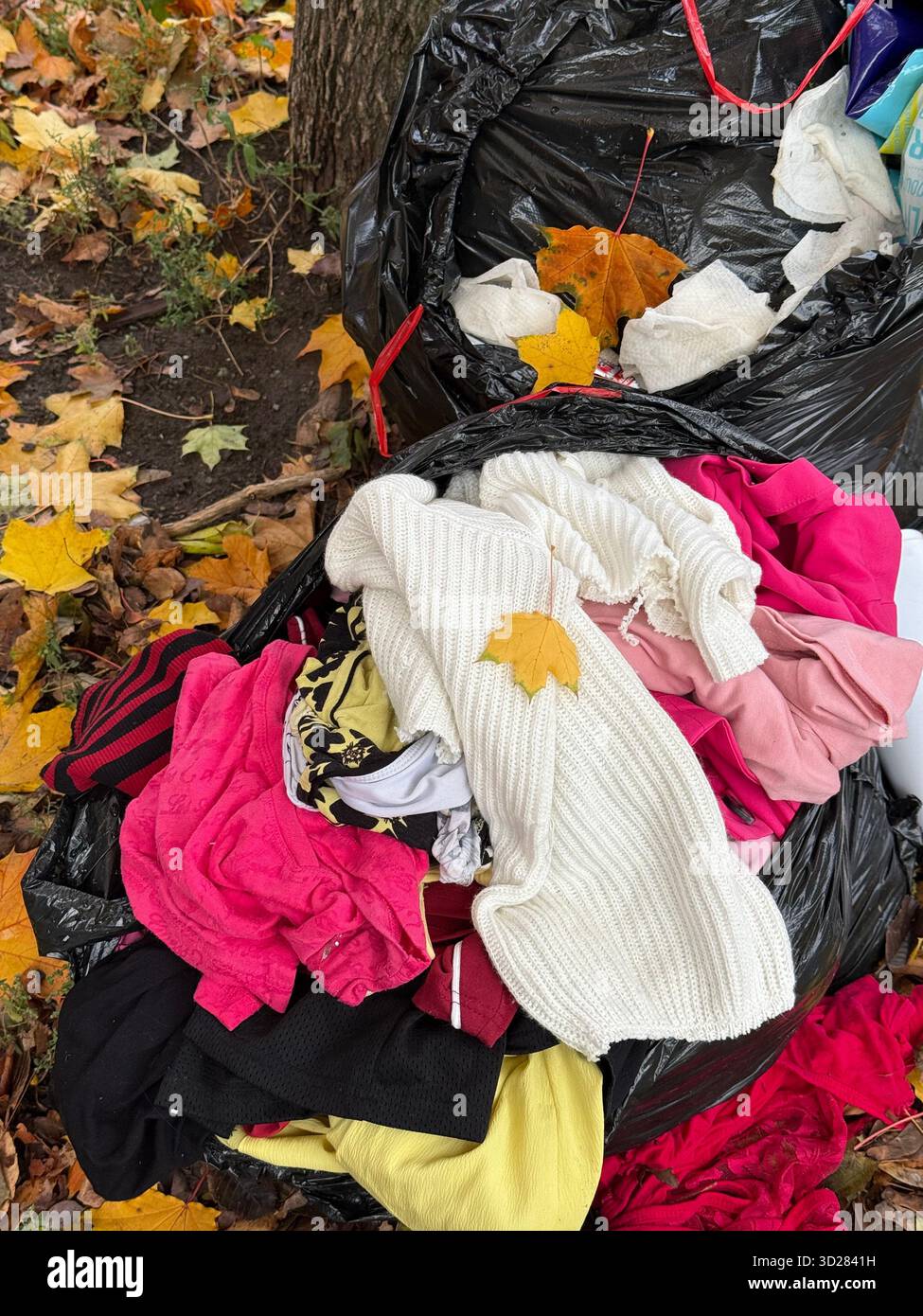 Discarded clothing on sidewalk - Smartphone Captured Stock Image