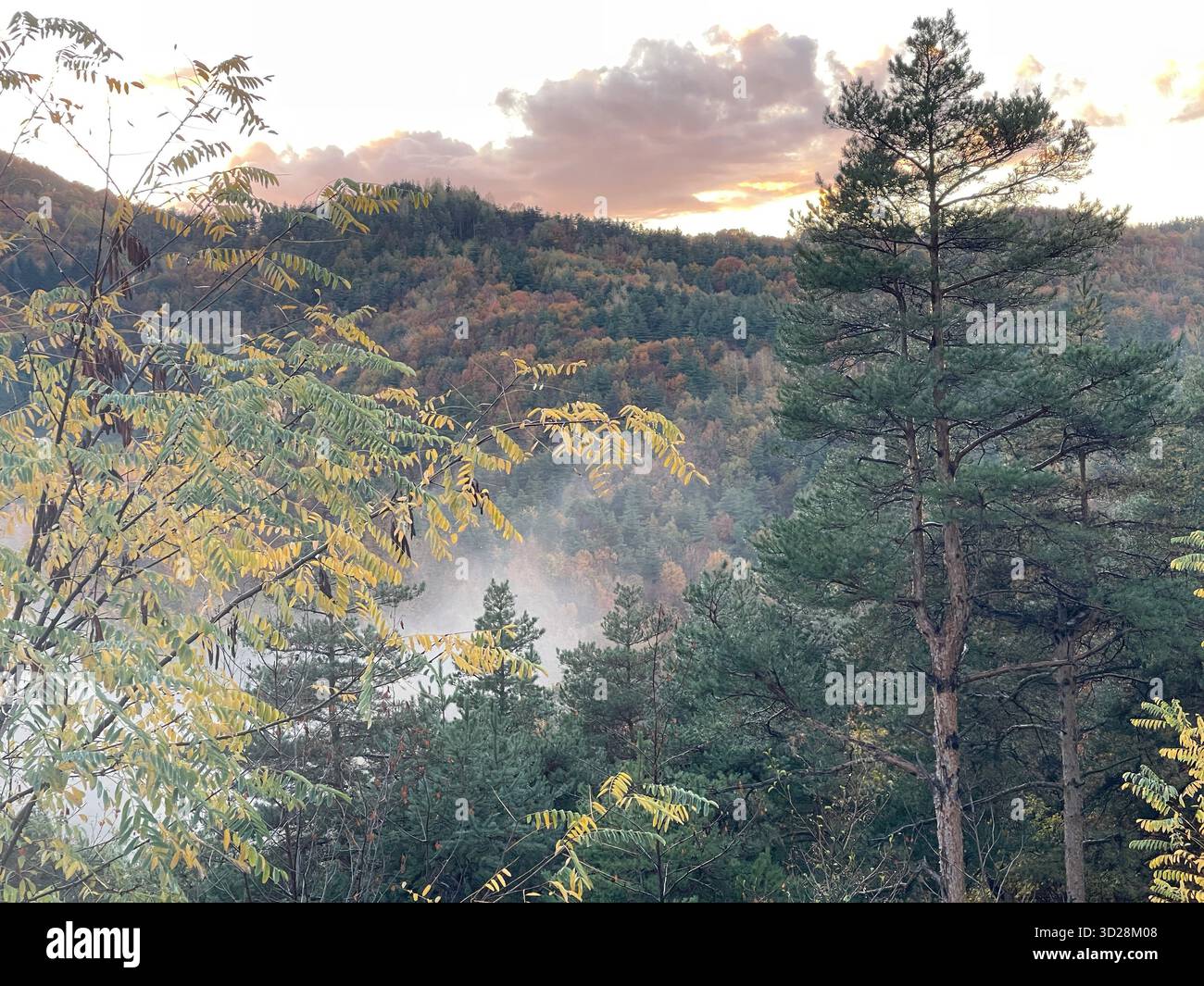 Autumn mountain landscape at the Makaza border crossing between Greece and Bulgaria, in Eastern Thrace region. Misty morning view of forested hills. - Smartphone Captured Stock Image