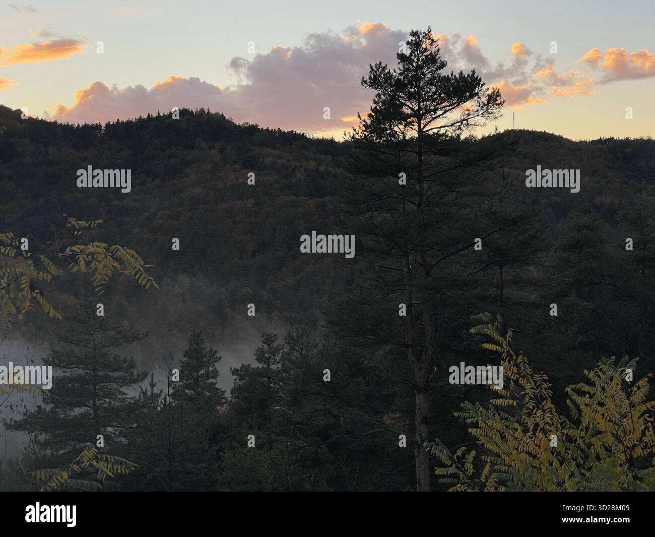Autumn mountain landscape at the Makaza border crossing between Greece and Bulgaria, in Eastern Thrace region. Misty morning view of forested hills. - Smartphone Captured Stock Image
