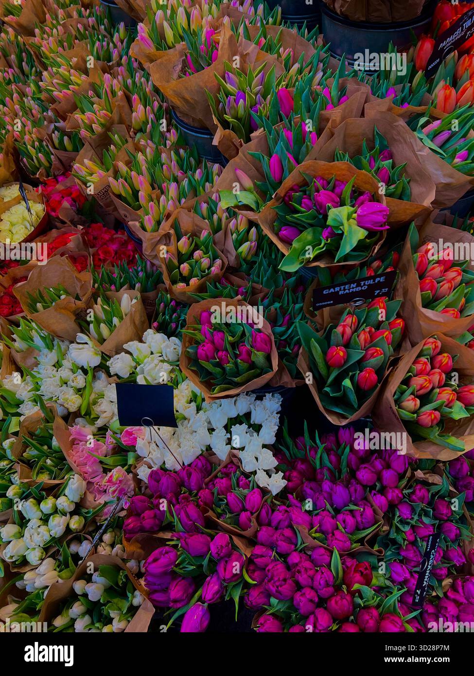 Vibrant assortment of fresh tulip bouquets in various colors/ Germany - Smartphone Captured Stock Image