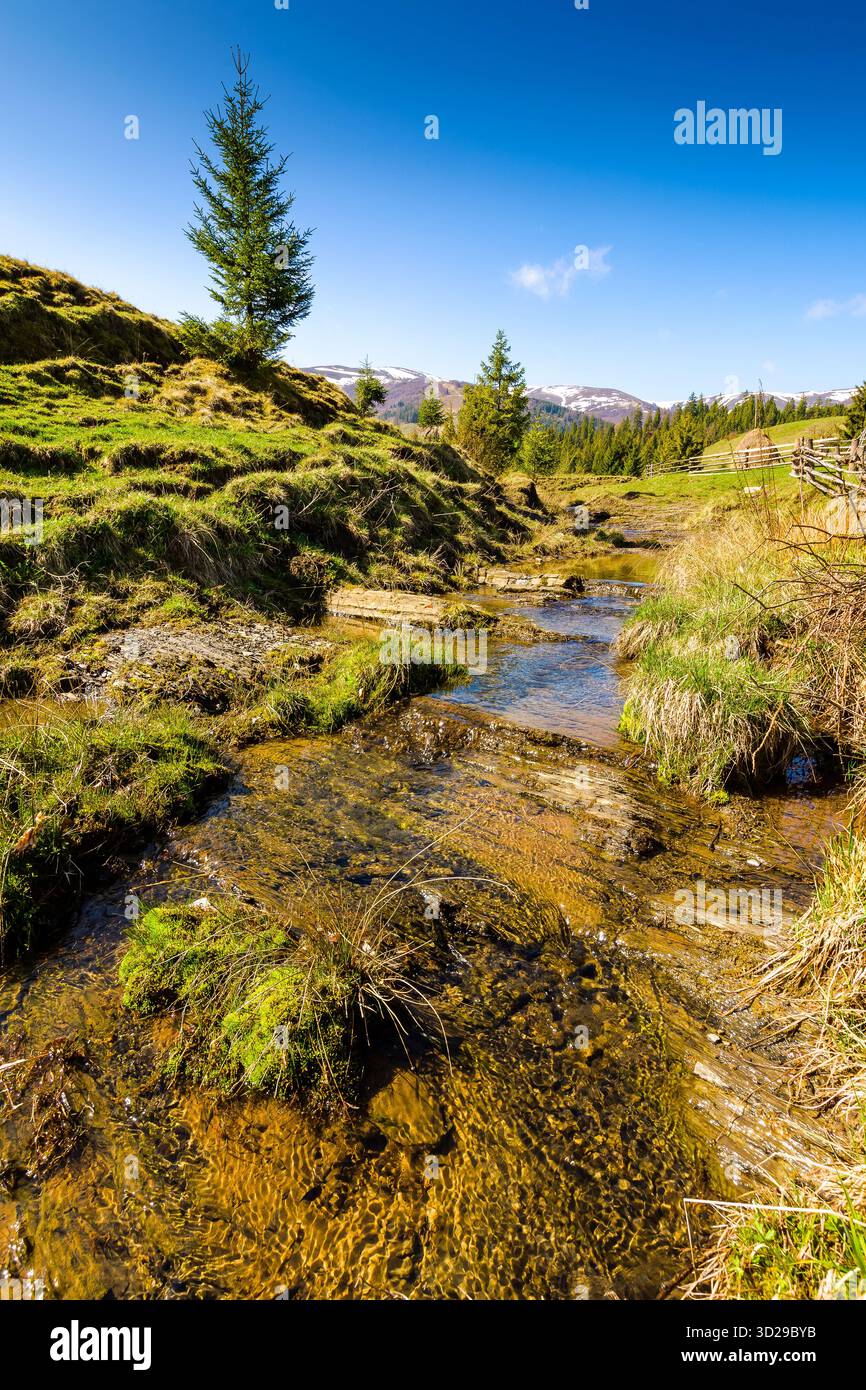 rural scene of carpathian mountain landscape in spring. green countryside with forested hills. sunny morning near podobovets village in ukraine. beaut Stock Photo