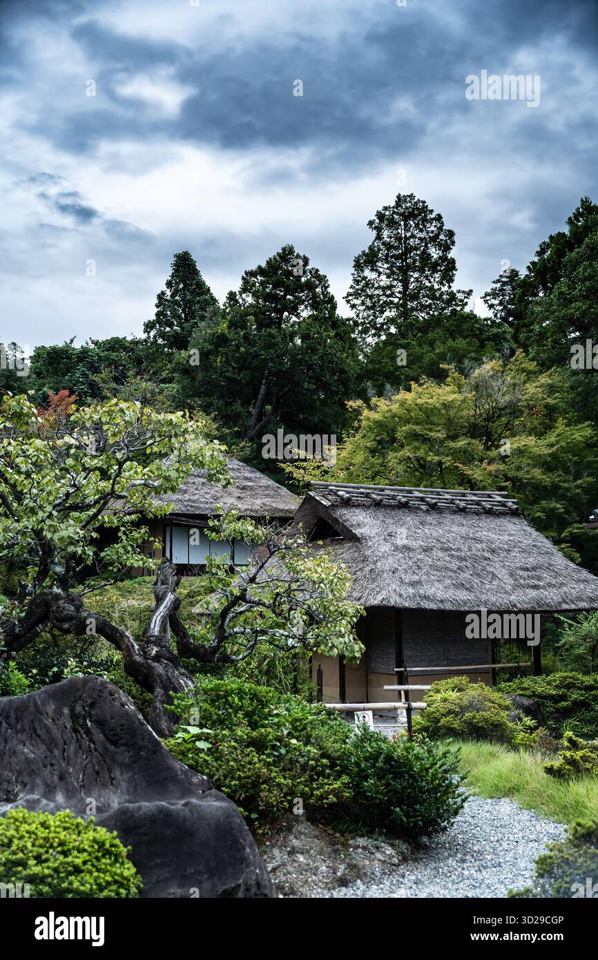 Aerial view of thatched roofs nestled among lush greenery and winding ...