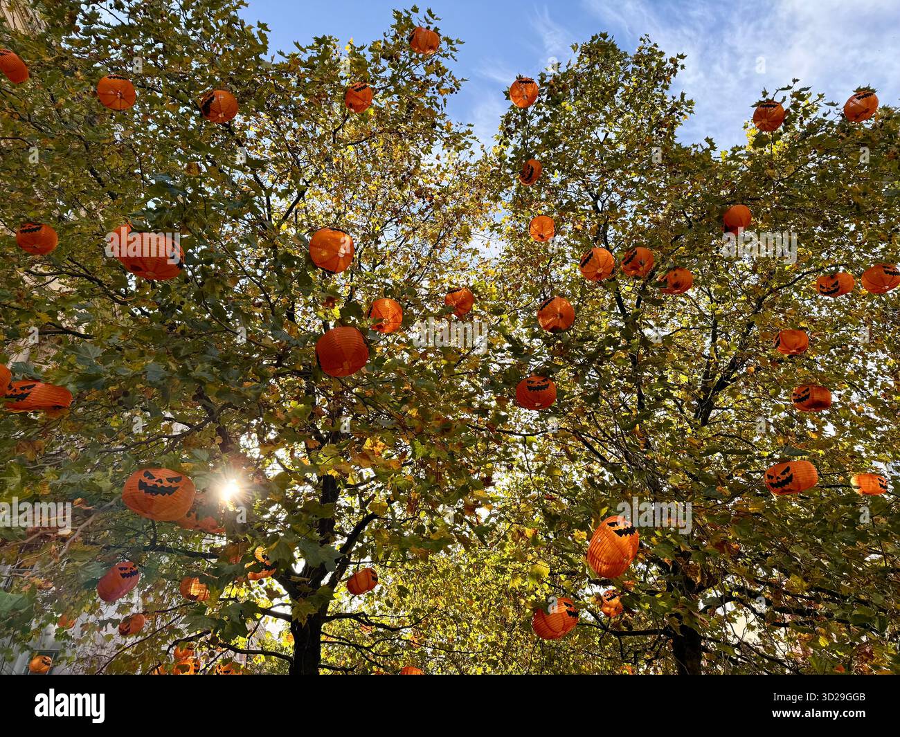Manchester city centre. St Anne’s Square and orange Halloween lanterns in autumnal trees. - Smartphone Captured Stock Image